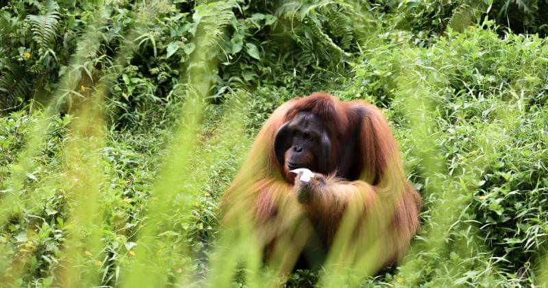 Unsplash/Simone Millward